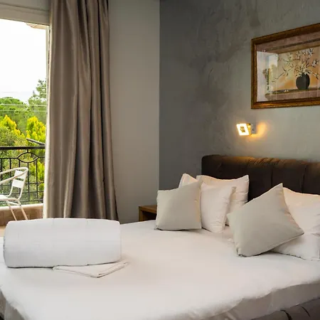 ξενοδοχείο Elegant Epavlis 3* Δράμα