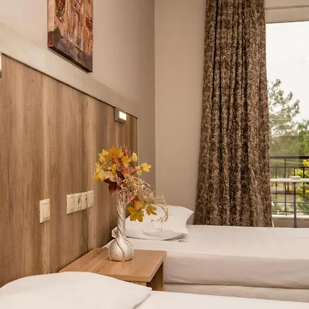 ξενοδοχείο Elegant Epavlis Ξενοδοχείο 3*