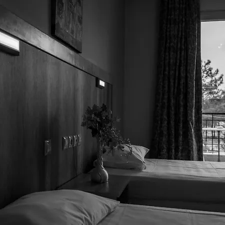 ξενοδοχείο Elegant Epavlis 3* Δράμα