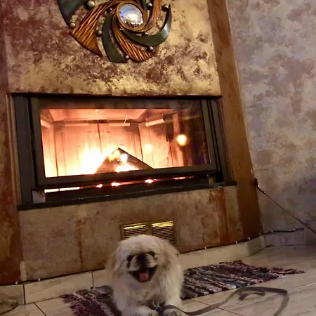 Ξενοδοχείο ξενοδοχείο Elegant Epavlis Δράμα