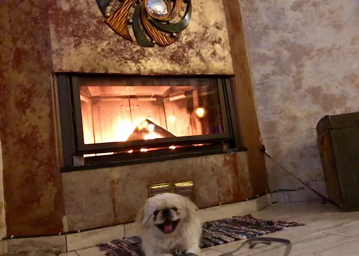 Hotel Epavlis Dráma